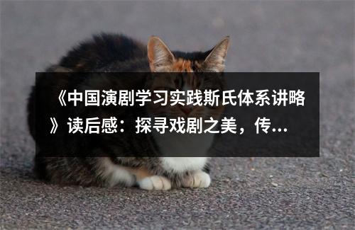 《中國演劇學(xué)習(xí)實踐斯氏體系講略》讀后感：探尋戲劇之美，傳承斯氏匠心 (950字)