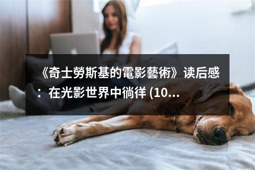 《奇士勞斯基的電影藝術(shù)》讀后感：在光影世界中徜徉 (1050字)