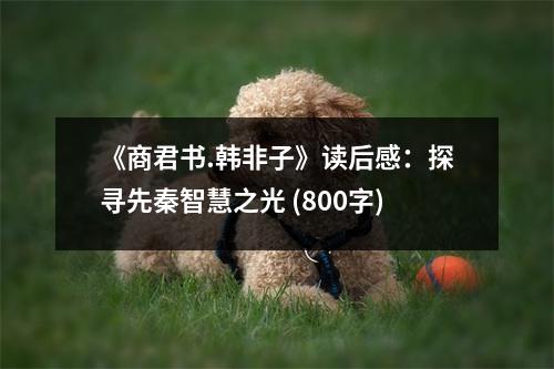 《商君書.韓非子》讀后感：探尋先秦智慧之光 (800字)