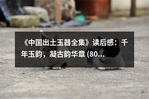 《中國(guó)出土玉器全集》讀后感：千年玉韻，凝古韻華章 (800字)
