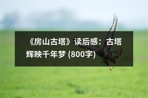 《房山古塔》讀后感：古塔輝映千年夢(mèng) (800字)