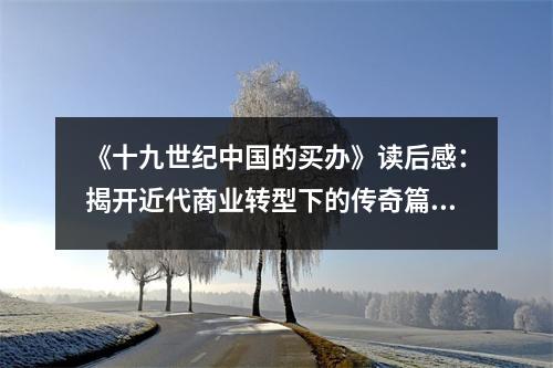 《十九世紀(jì)中國的買辦》讀后感：揭開近代商業(yè)轉(zhuǎn)型下的傳奇篇章 (800字)
