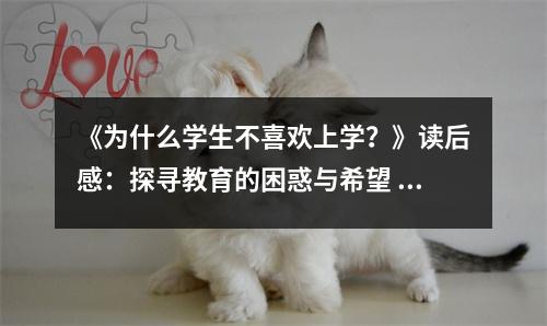 《為什么學(xué)生不喜歡上學(xué)？》讀后感：探尋教育的困惑與希望 (1050字)
