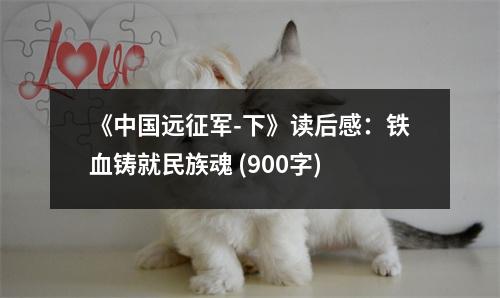 《中國(guó)遠(yuǎn)征軍-下》讀后感：鐵血鑄就民族魂 (900字)