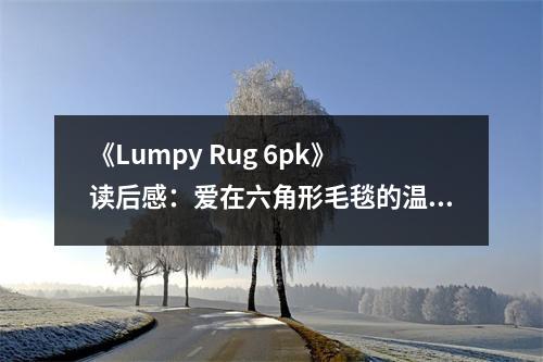 《Lumpy Rug 6pk》讀后感：愛在六角形毛毯的溫暖里 (850字)