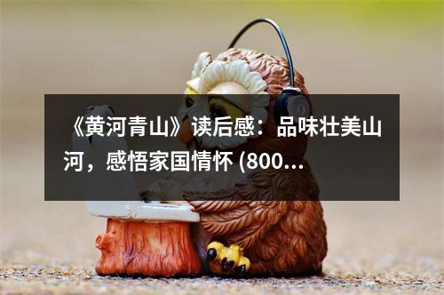 《黃河青山》讀后感：品味壯美山河，感悟家國(guó)情懷 (800字)