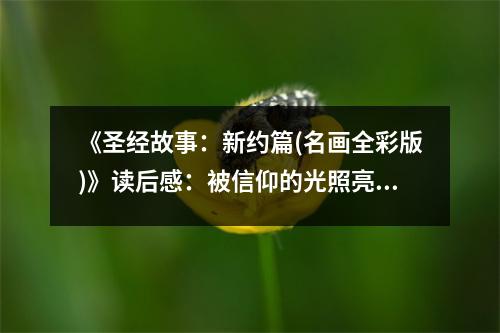 《圣經(jīng)故事：新約篇(名畫全彩版)》讀后感：被信仰的光照亮心靈 (850字)