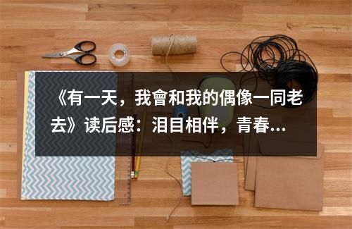 《有一天，我會和我的偶像一同老去》讀后感：淚目相伴，青春永不落幕 (850字)