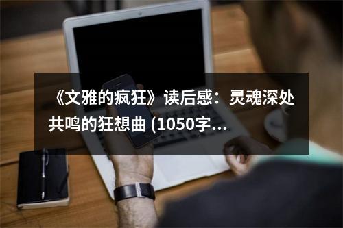 《文雅的瘋狂》讀后感：靈魂深處共鳴的狂想曲 (1050字)