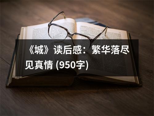 《城》讀后感：繁華落盡見真情 (950字)