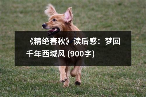 《精絕春秋》讀后感：夢(mèng)回千年西域風(fēng) (900字)