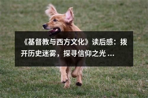 《基督教與西方文化》讀后感：撥開歷史迷霧，探尋信仰之光 (850字)