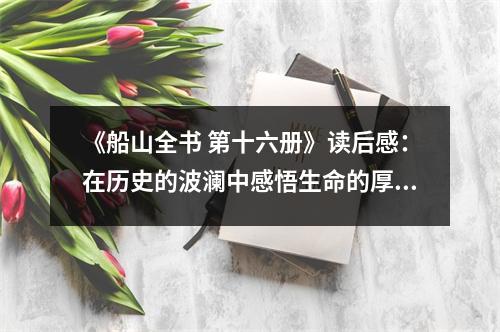 《船山全書(shū) 第十六冊(cè)》讀后感：在歷史的波瀾中感悟生命的厚重 (800字)