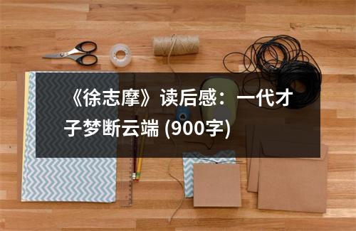 《徐志摩》讀后感：一代才子夢(mèng)斷云端 (900字)