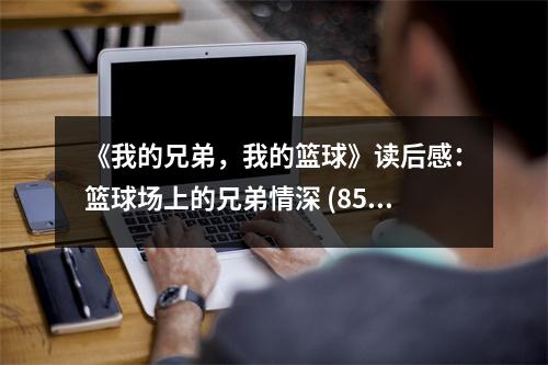 《我的兄弟，我的籃球》讀后感：籃球場(chǎng)上的兄弟情深 (850字)