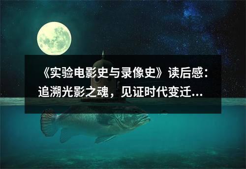《實驗電影史與錄像史》讀后感：追溯光影之魂，見證時代變遷 (1100字)