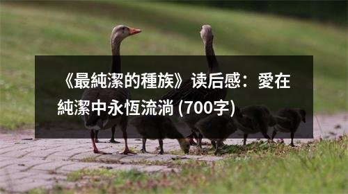 《最純潔的種族》讀后感：愛(ài)在純潔中永恆流淌 (700字)