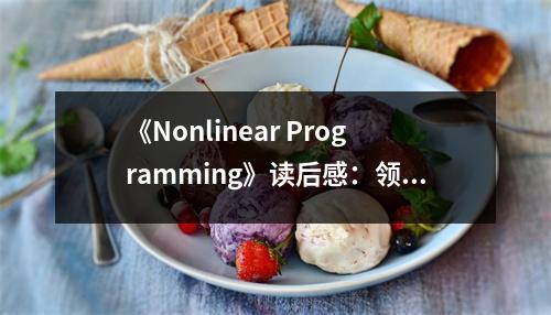 《Nonlinear Programming》讀后感：領悟非線性之美 (1100字)