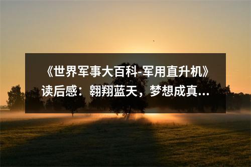 《世界軍事大百科-軍用直升機》讀后感：翱翔藍天，夢想成真 (950字)