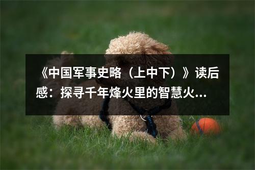 《中國(guó)軍事史略（上中下）》讀后感：探尋千年烽火里的智慧火花 (900字)