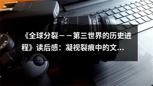 《全球分裂－－第三世界的歷史進程》讀后感：凝視裂痕中的文明之光 (850字)