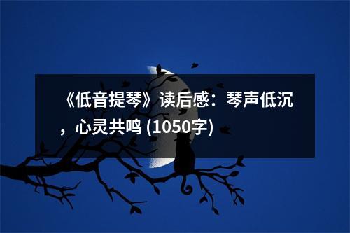 《低音提琴》讀后感：琴聲低沉，心靈共鳴 (1050字)