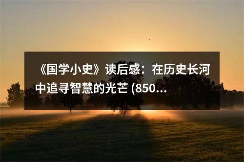 《國(guó)學(xué)小史》讀后感：在歷史長(zhǎng)河中追尋智慧的光芒 (850字)