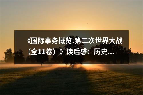 《國(guó)際事務(wù)概覽.第二次世界大戰(zhàn)（全11卷）》讀后感：歷史波瀾壯闊 (750字)