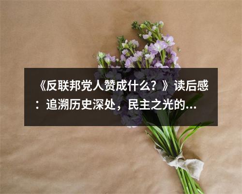 《反聯(lián)邦黨人贊成什么？》讀后感：追溯歷史深處，民主之光的堅(jiān)守 (850字)