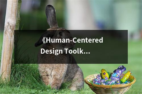 《Human-Centered Design Toolkit》讀后感：解鎖人性密碼，開啟創(chuàng)新之旅 (700字)