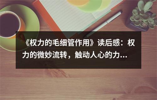 《權力的毛細管作用》讀后感：權力的微妙流轉(zhuǎn)，觸動人心的力量 (850字)