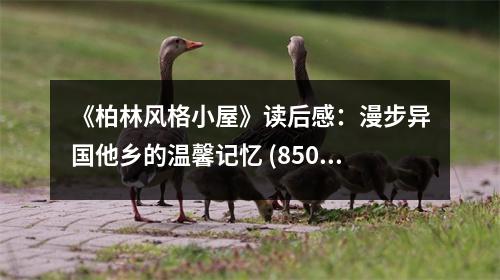 《柏林風(fēng)格小屋》讀后感：漫步異國他鄉(xiāng)的溫馨記憶 (850字)