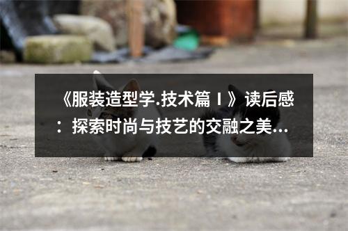 《服裝造型學(xué).技術(shù)篇Ⅰ》讀后感：探索時尚與技藝的交融之美 (850字)