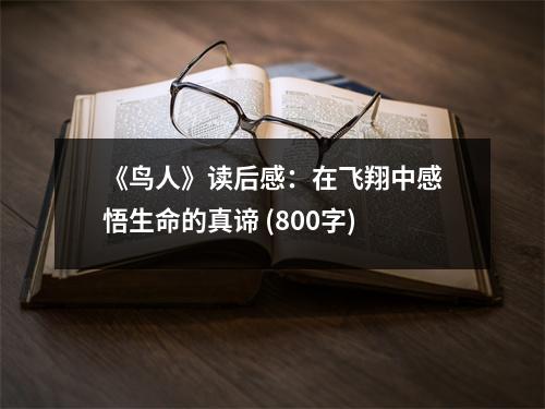 《鳥人》讀后感：在飛翔中感悟生命的真諦 (800字)
