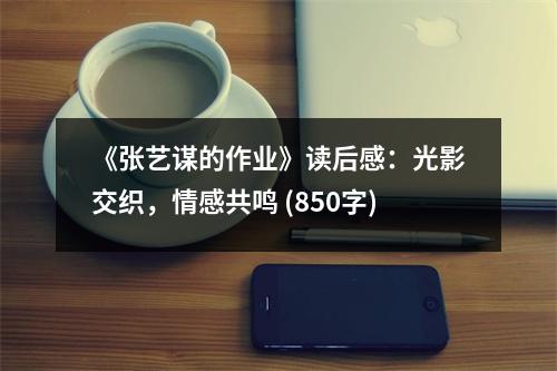 《張藝謀的作業(yè)》讀后感：光影交織，情感共鳴 (850字)