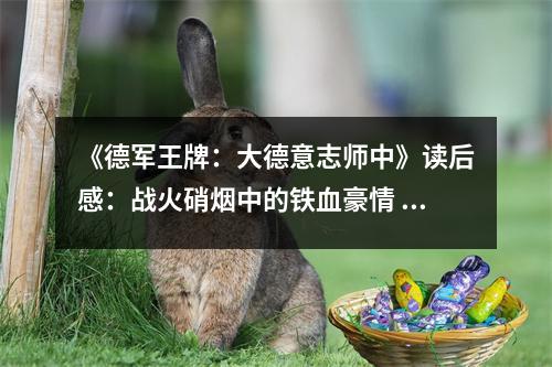 《德軍王牌：大德意志師中》讀后感：戰(zhàn)火硝煙中的鐵血豪情 (700字)