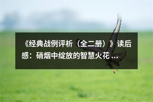 《經(jīng)典戰(zhàn)例評(píng)析（全二冊(cè)）》讀后感：硝煙中綻放的智慧火花 (950字)