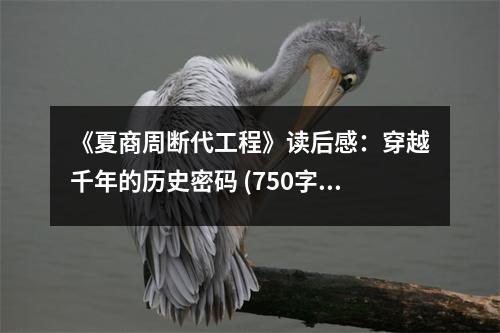 《夏商周斷代工程》讀后感：穿越千年的歷史密碼 (750字)