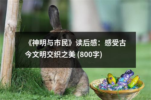 《神明與市民》讀后感：感受古今文明交織之美 (800字)