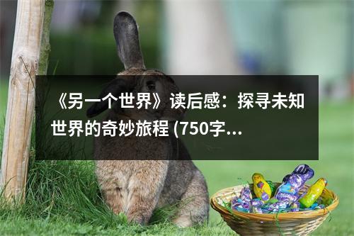 《另一個世界》讀后感：探尋未知世界的奇妙旅程 (750字)