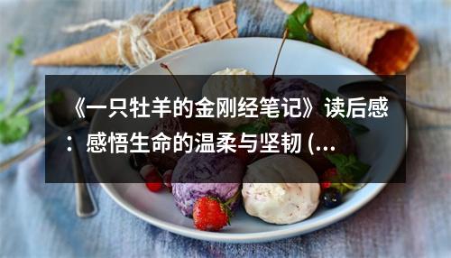 《一只牡羊的金剛經(jīng)筆記》讀后感：感悟生命的溫柔與堅(jiān)韌 (800字)