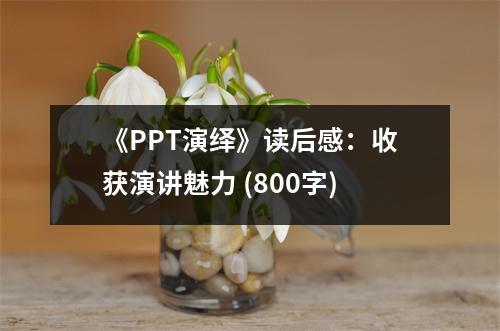 《PPT演繹》讀后感：收獲演講魅力 (800字)
