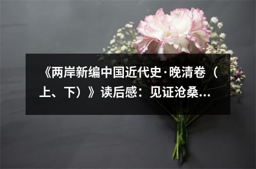 《兩岸新編中國近代史·晚清卷（上、下）》讀后感：見證滄桑巨變，譜寫復(fù)興篇章 (900字)