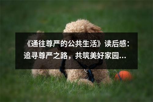 《通往尊嚴(yán)的公共生活》讀后感：追尋尊嚴(yán)之路，共筑美好家園 (800字)