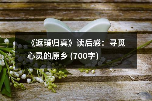 《返璞歸真》讀后感：尋覓心靈的原鄉(xiāng) (700字)