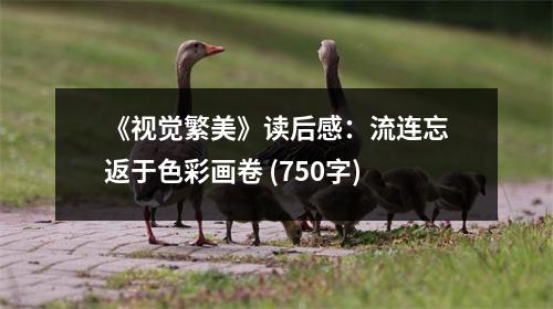 《視覺繁美》讀后感：流連忘返于色彩畫卷 (750字)