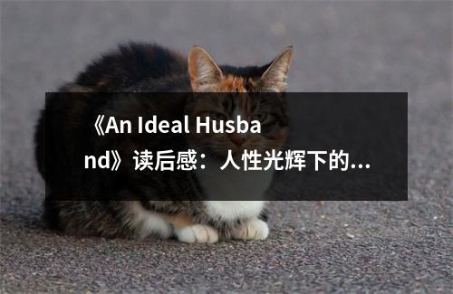 《An Ideal Husband》讀后感：人性光輝下的道德抉擇 (650字)
