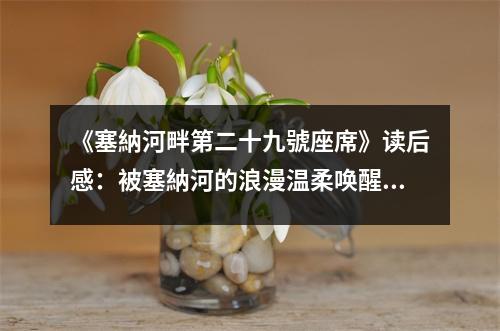 《塞納河畔第二十九號(hào)座席》讀后感：被塞納河的浪漫溫柔喚醒 (800字)