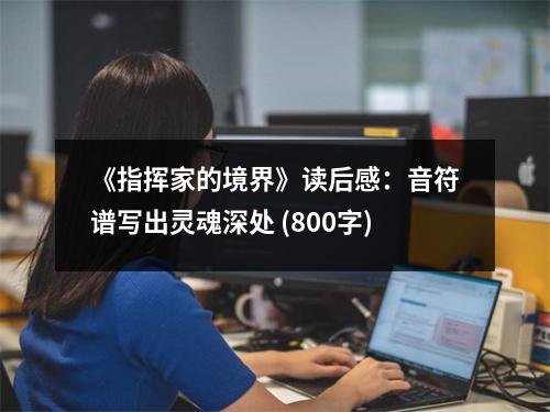 《指揮家的境界》讀后感：音符譜寫出靈魂深處 (800字)