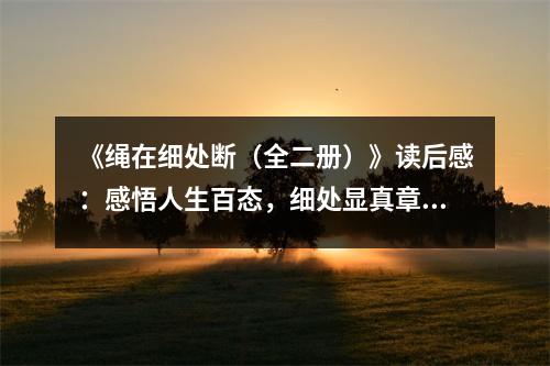 《繩在細(xì)處斷（全二冊）》讀后感：感悟人生百態(tài)，細(xì)處顯真章 (800字)